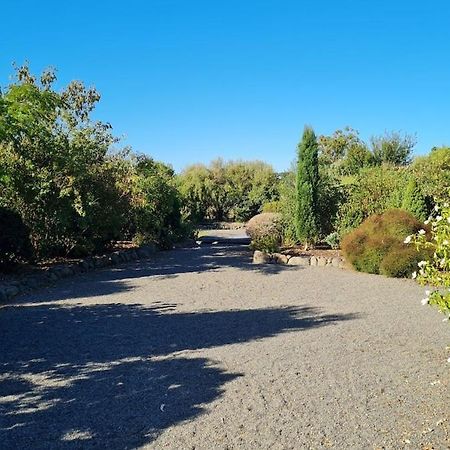Bidwills Gem Villa Greytown Eksteriør billede